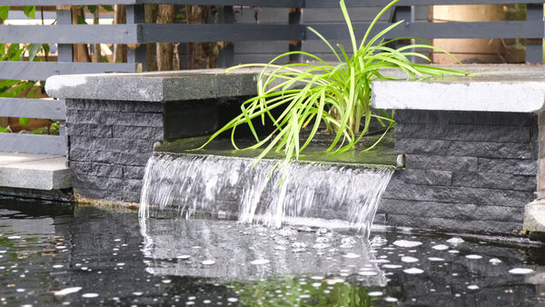 Spillway/Veggie Filter